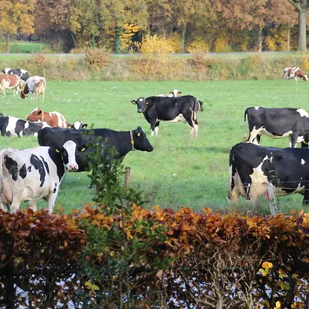 Even Heukelom - 4 Panzió Afferden